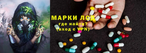 твердый Аркадак