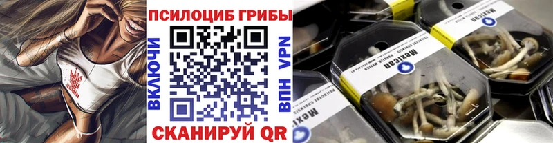 Псилоцибиновые грибы ЛСД Щигры