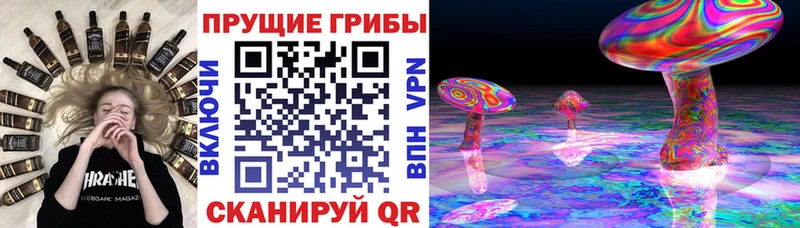 Псилоцибиновые грибы Magic Shrooms blacksprut как войти Щигры